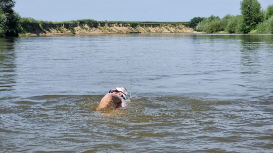 Înotătorul Avram Iancu se pregătește pentru dubla traversare a Canalului Mânecii